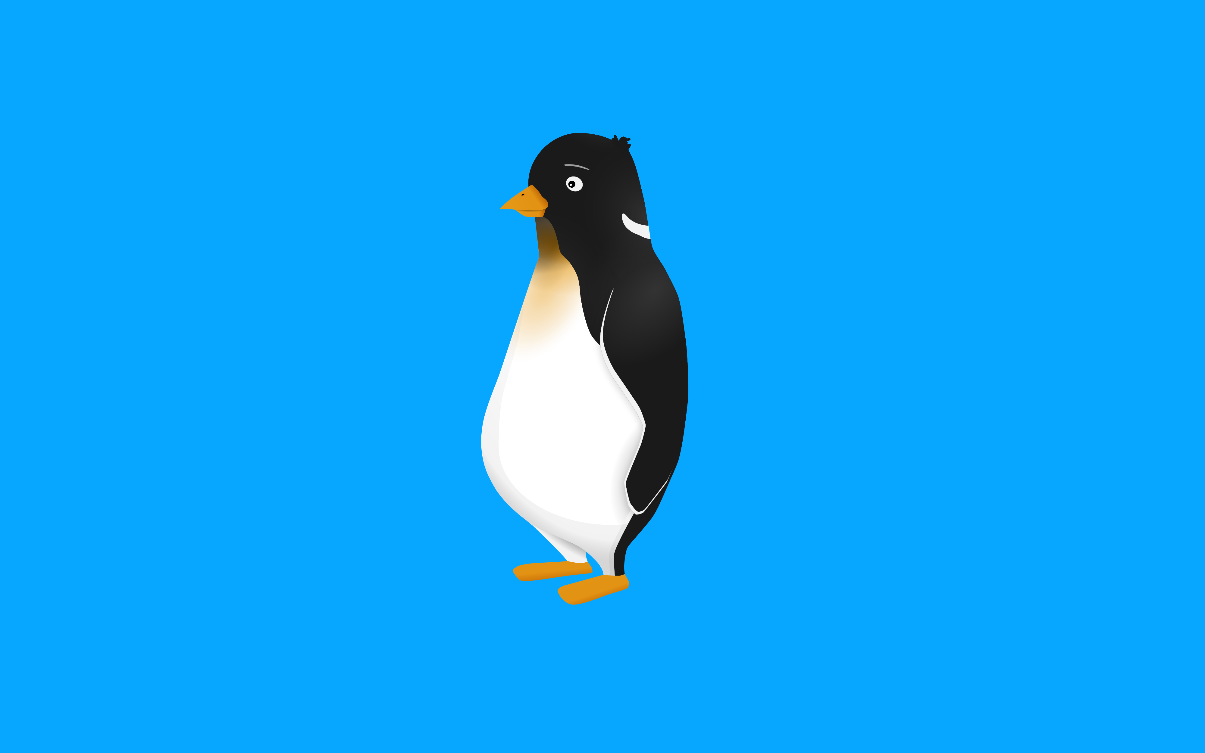 Penguin Illustration