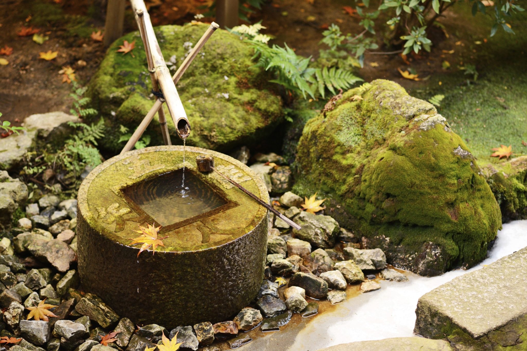The Ryōan-ji tsukubai